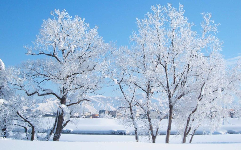 魚沼市プレミアム 魚沼市プレミアム認定協議会